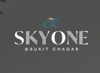 SkyOne Team